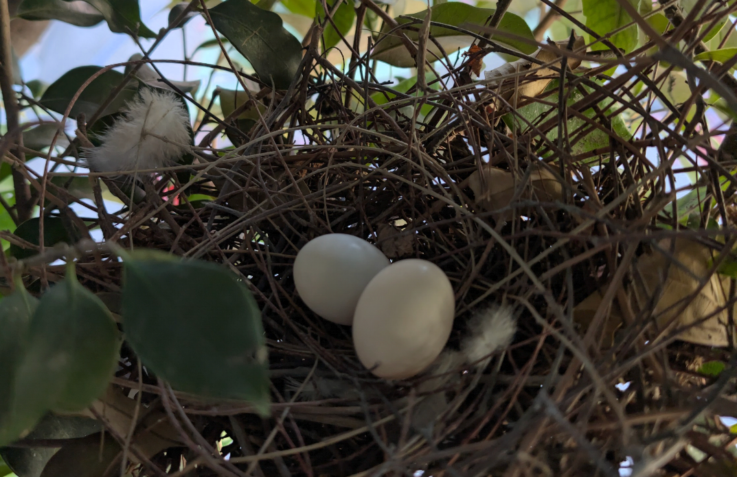 Screenshot_20251114-125517