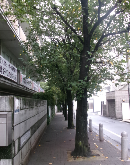 歩道
