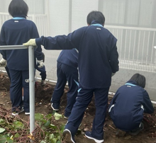 スクリーンショット (3)